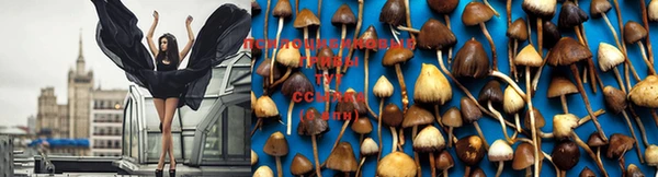 марки nbome Лабытнанги